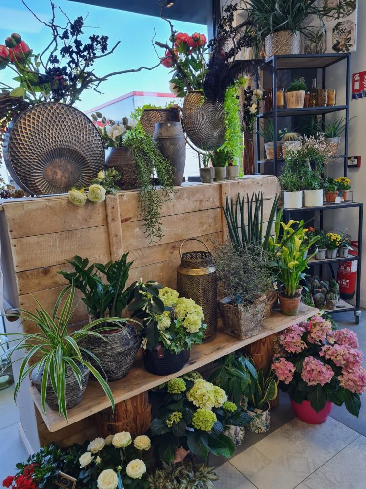 boutique 2 (1)